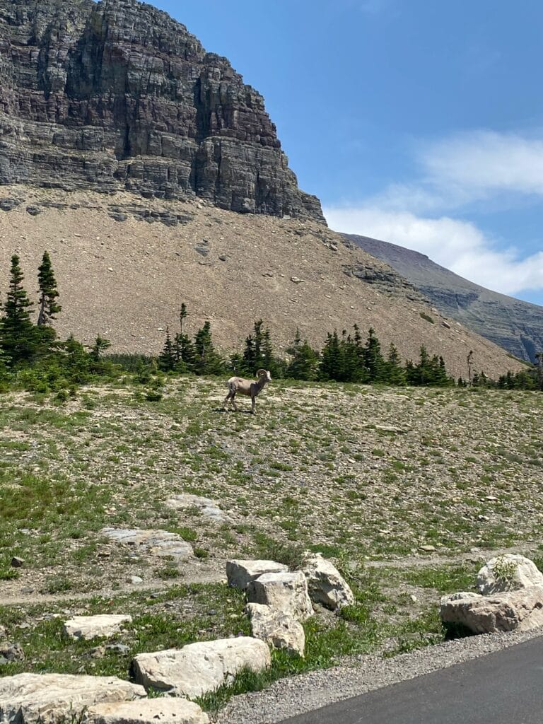 Glacier National Park