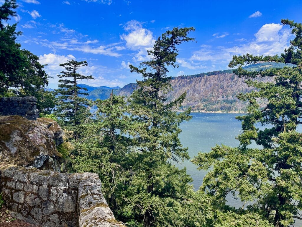 IMG 0581