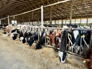 Cumberland Valley, Discover Cumberland Valley, PA – A Guide to Nature, History, and Family Fun
