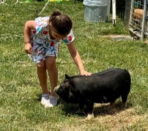 Cumberland Valley, Discover Cumberland Valley, PA – A Guide to Nature, History, and Family Fun
