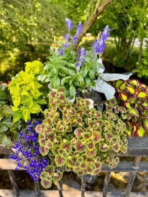 Cumberland Valley, Discover Cumberland Valley, PA – A Guide to Nature, History, and Family Fun