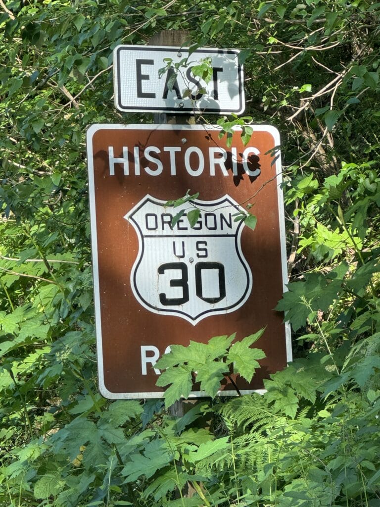 IMG 3631