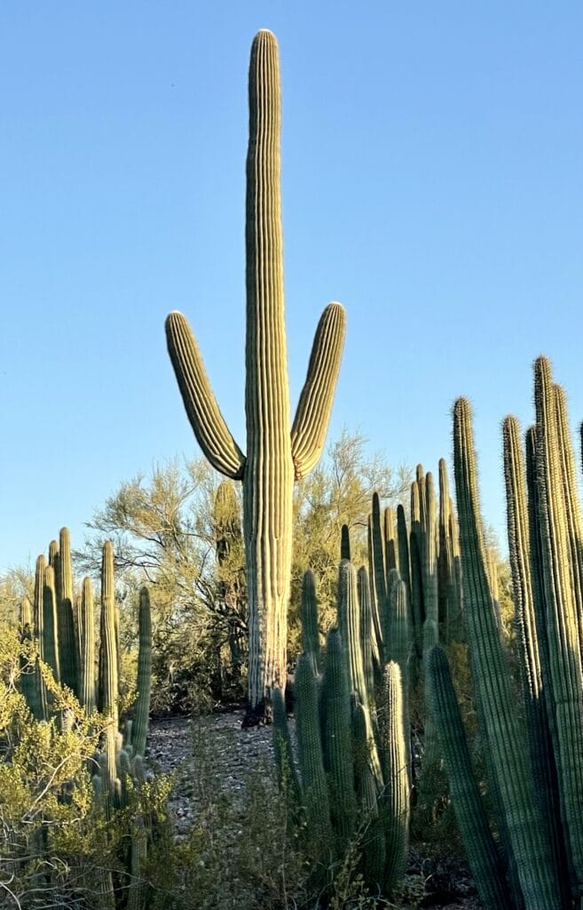 Arizona, United States