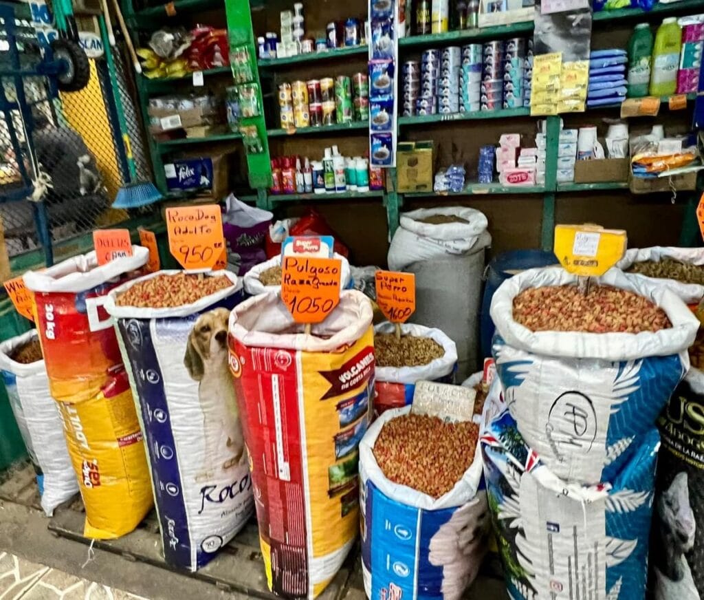 San Jose Market