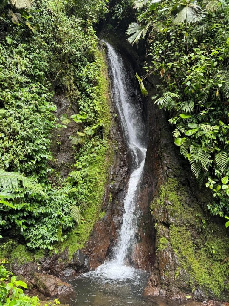 Waterfalls in Mistico