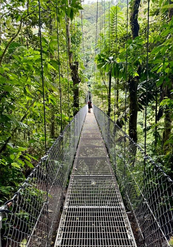Mistico Hanging Bridge