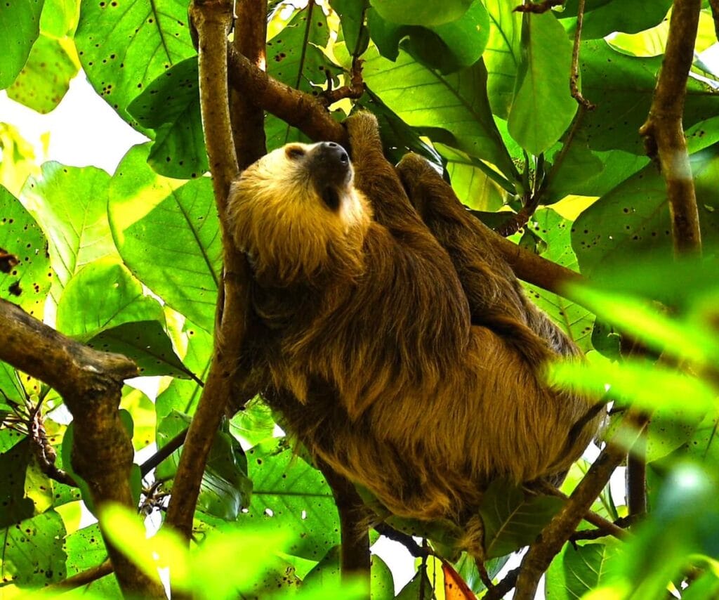 About Us Wanderers Compass, The Story of Wanderers Compass