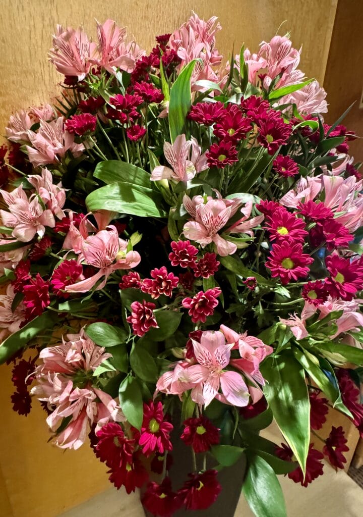 So many beautiful flowers