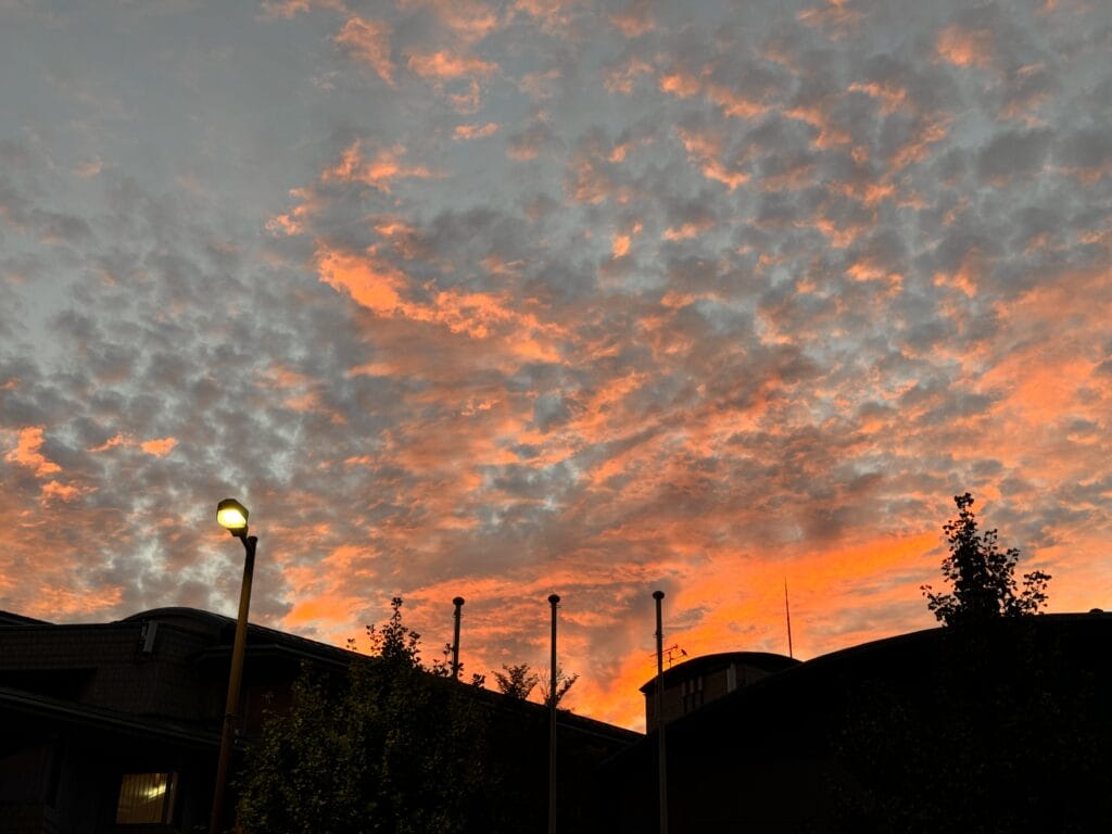 Sunset