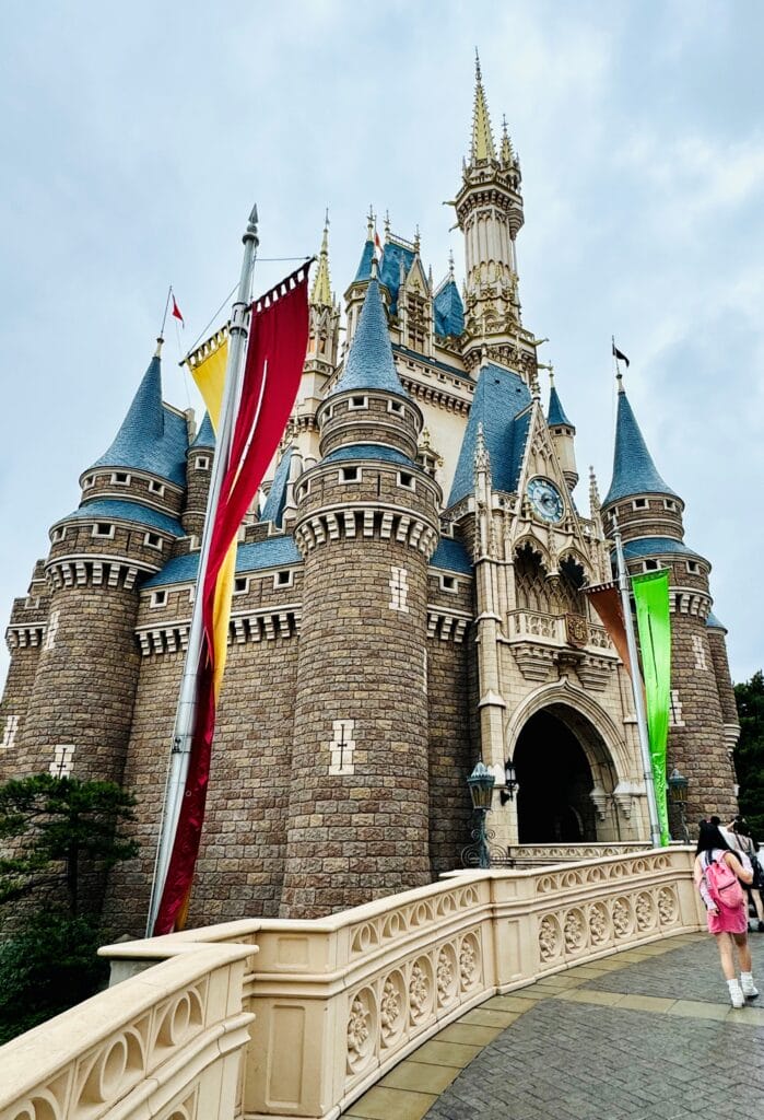 Disney Caslte