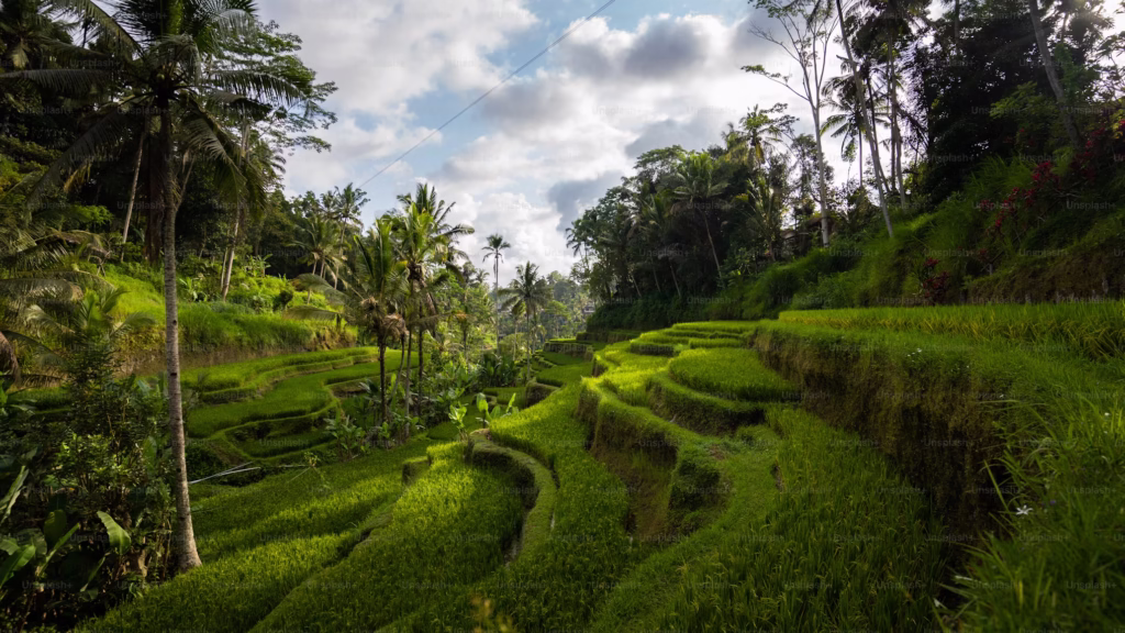 Bali Low Season, Why You Should Visit Bali’s Markets During the Low Season