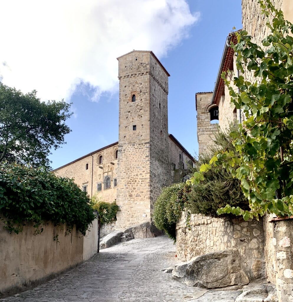 IMG 7368