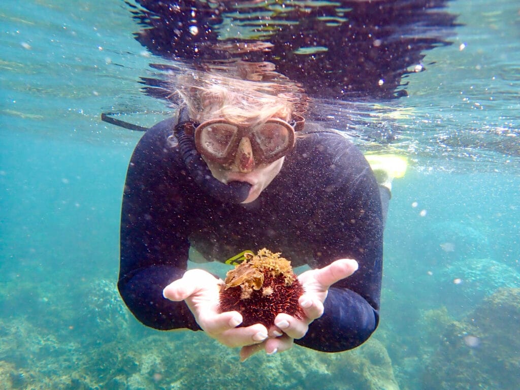 Brandy snorkeling