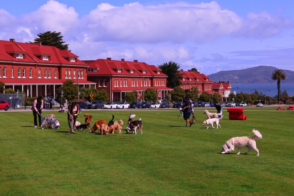 Presidio, Presidio: Exploring San Francisco’s Iconic Park