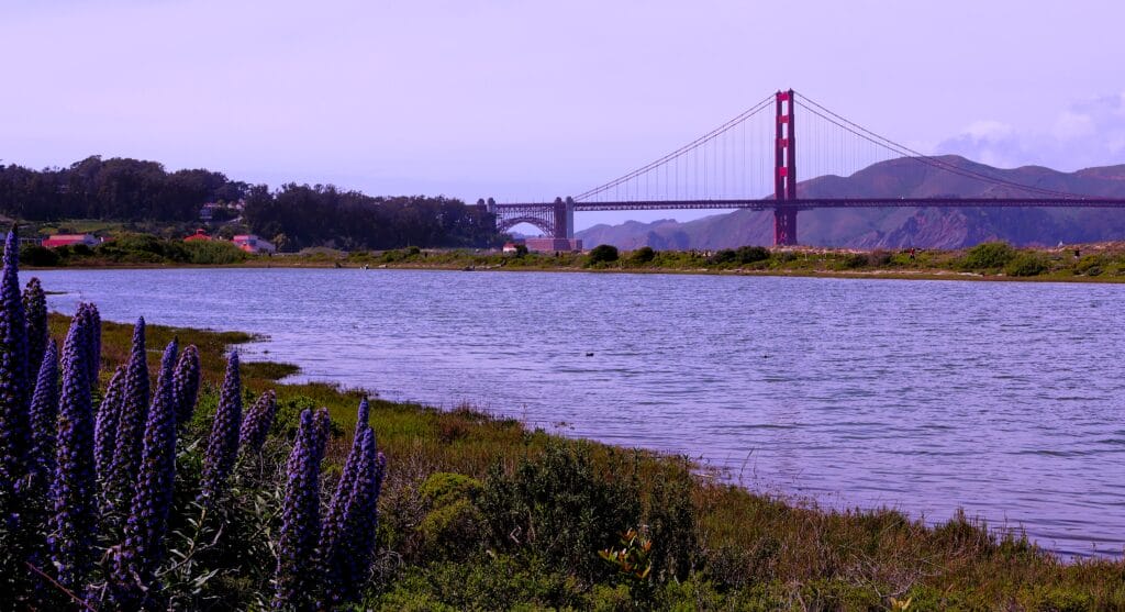 Presidio