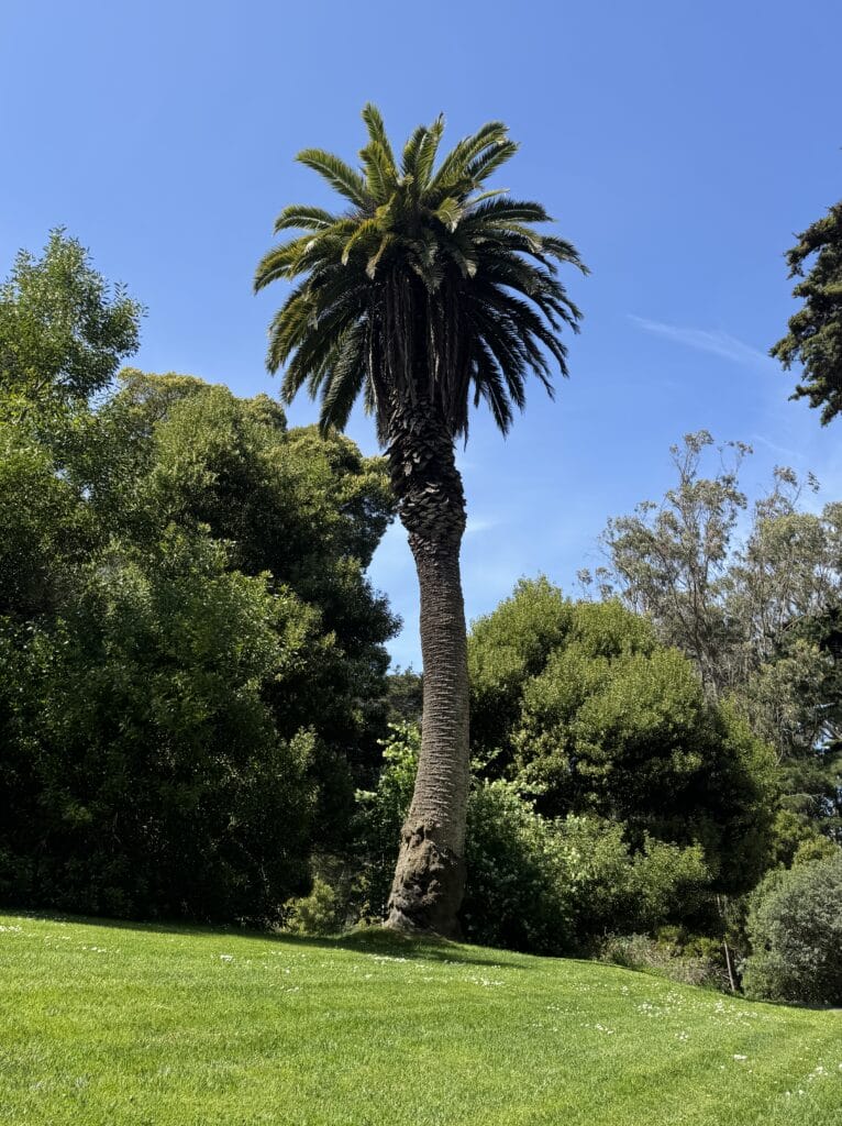 IMG 2346