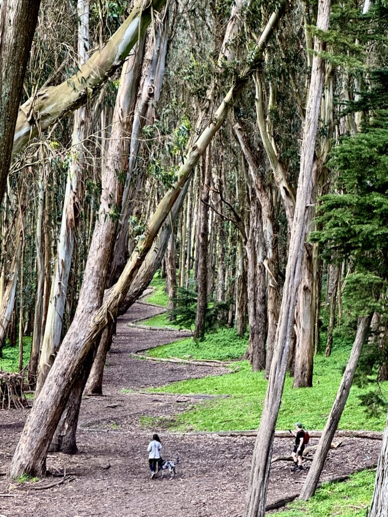 Presidio