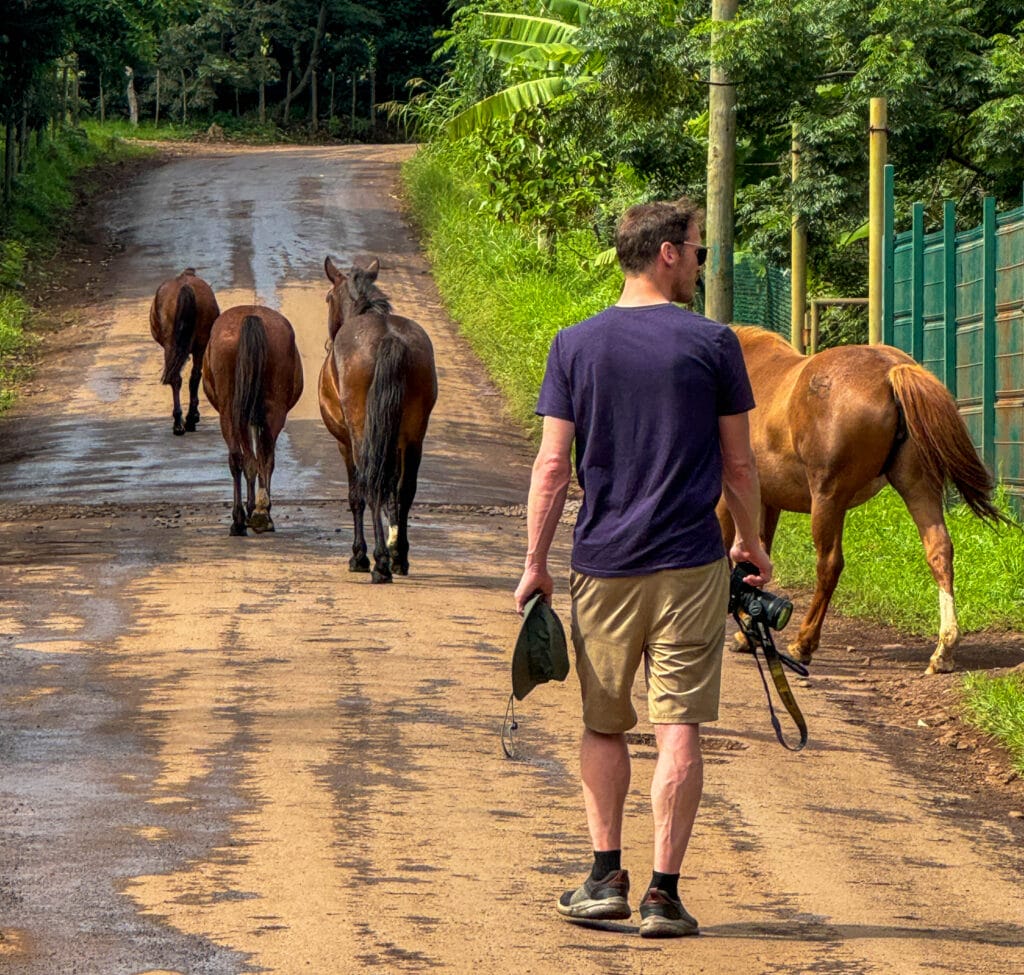 Ryan with horses