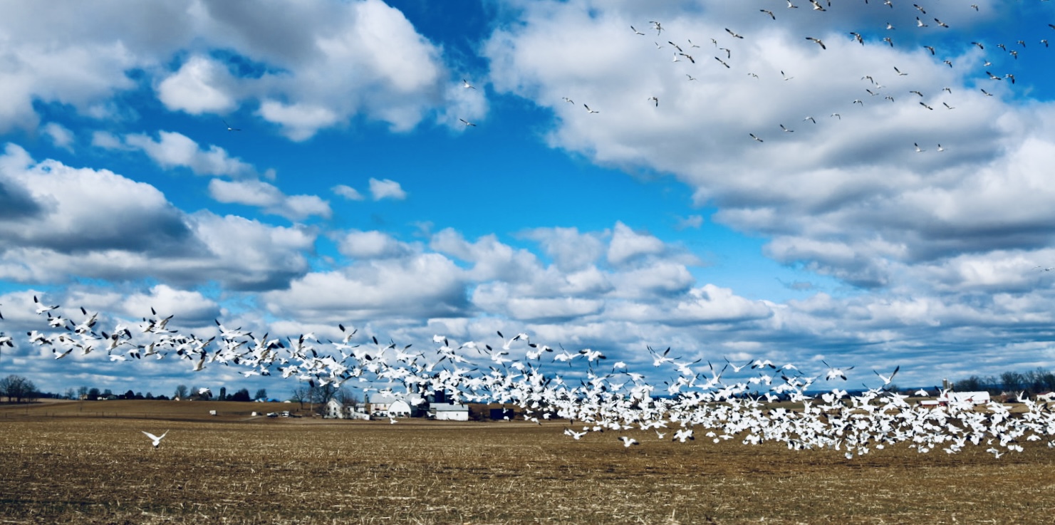 About Us Wanderers Compass, Lebanon Valley, PA: A Hidden Gem in Pennsylvania Farm Country