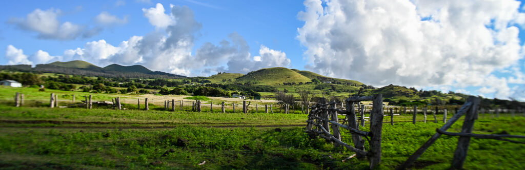 Easter Island Travel Guide, Rapa Nui Travel Guide: 5 Nights on Easter Island and Why You’ll Want More