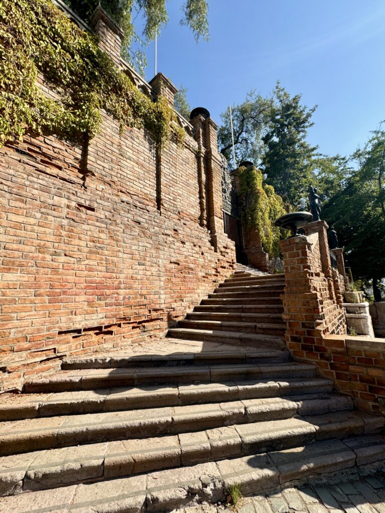 IMG 0031