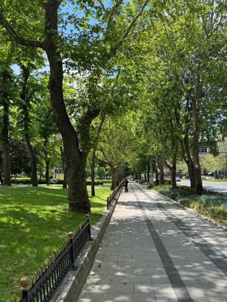 IMG 0329