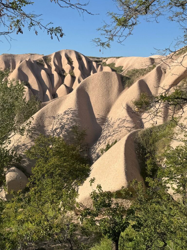 IMG 0337