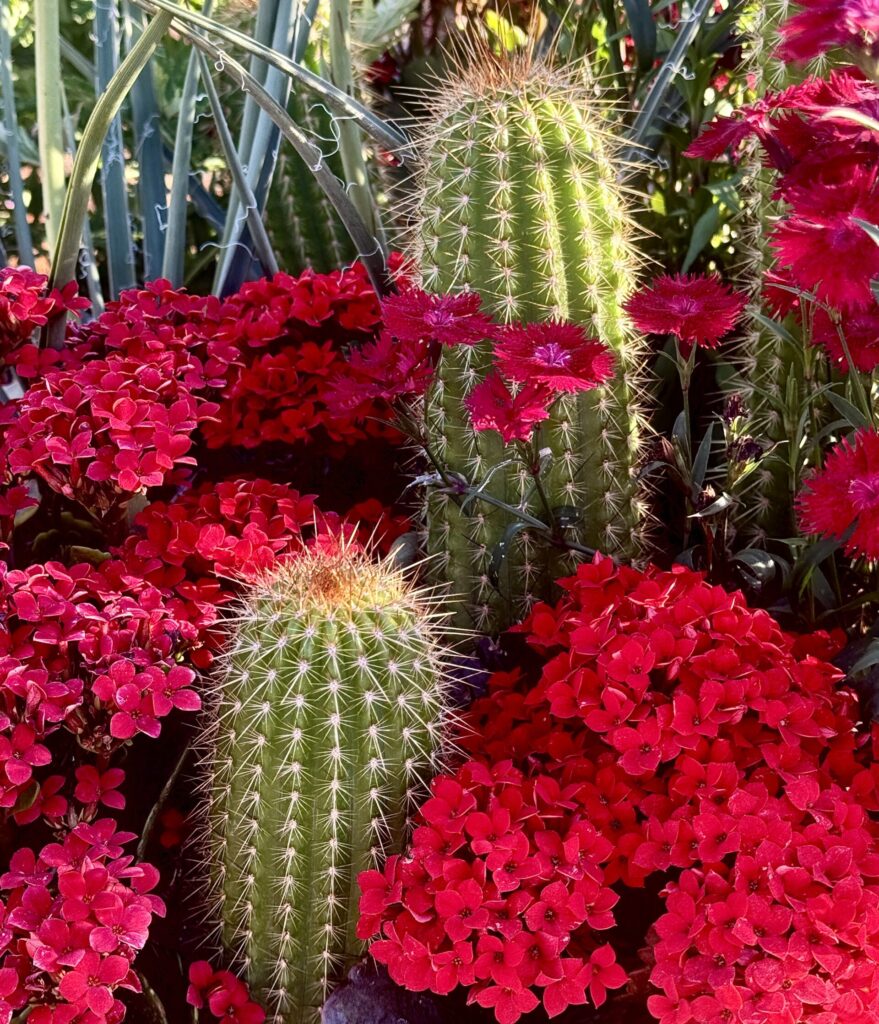 Old Town Scottsdale, Old Town Scottsdale, Arizona: A Retro-Cool Desert Escape