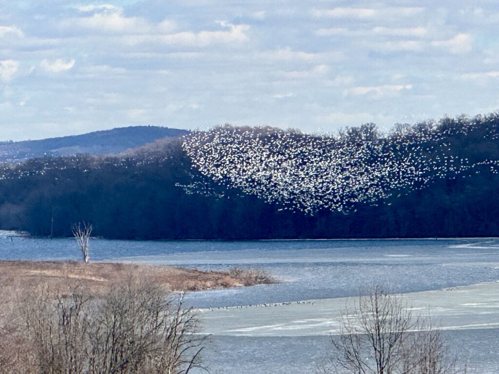 Lebanon Valley