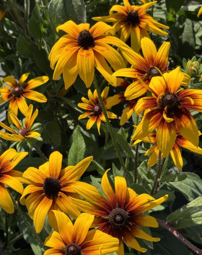 Lebanon Valley, Lebanon Valley, PA: A Hidden Gem in Pennsylvania Farm Country