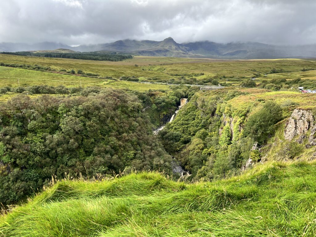 Landscape green and lush