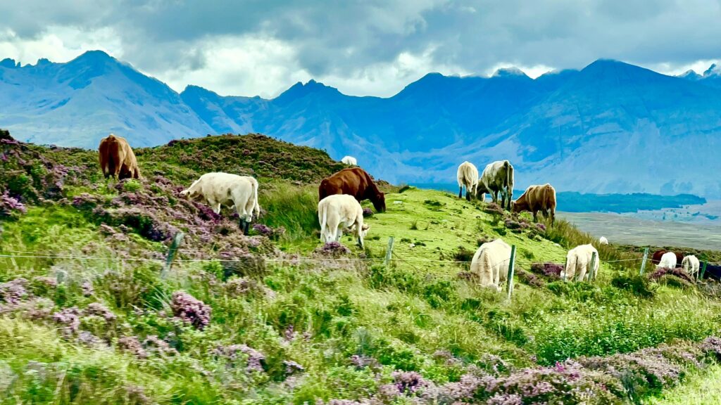Isle of Skye, 12 Best Things to Do on the Isle of Skye, Scotland