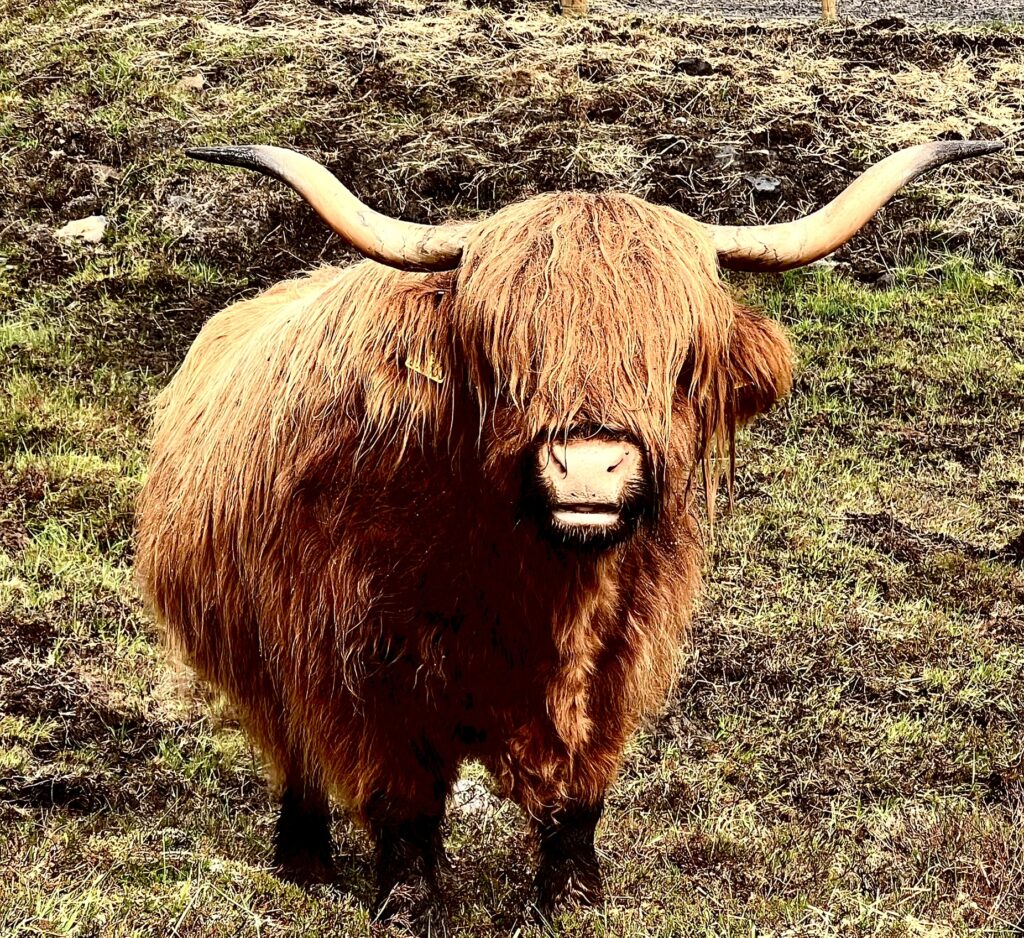 Isle of Skye, 12 Best Things to Do on the Isle of Skye, Scotland