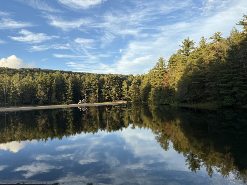 IMG 2255