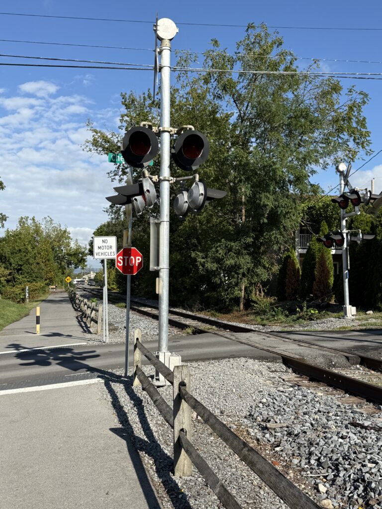 IMG 2499