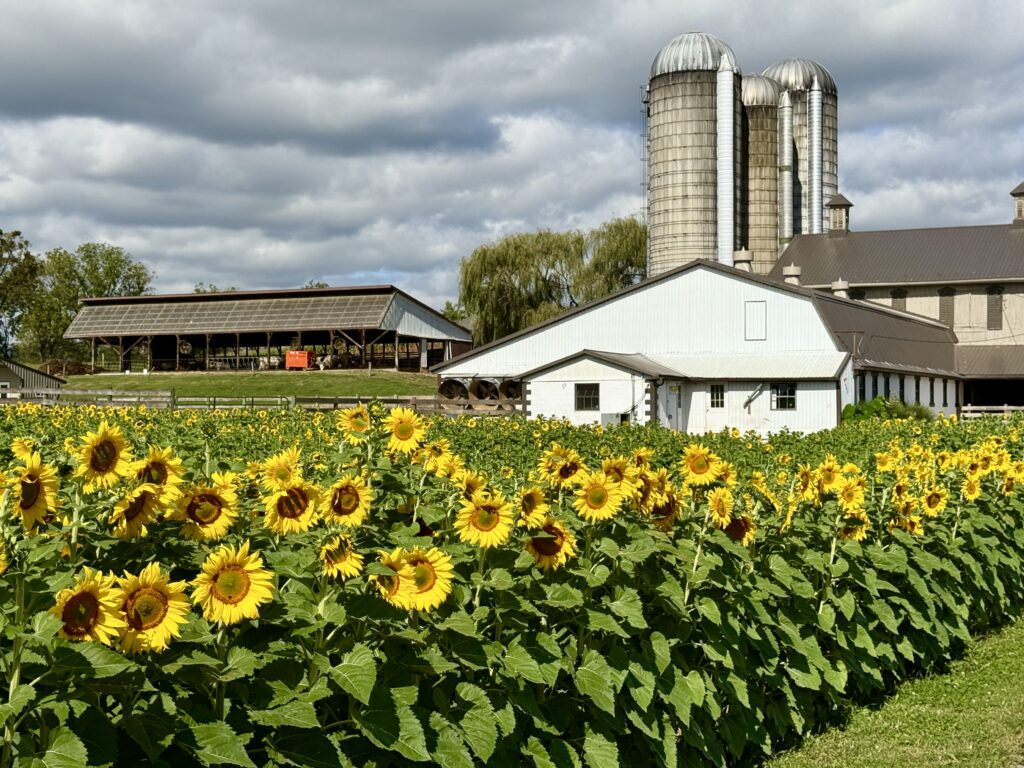 Susquehanna River Valley, Top Things to Do in the Susquehanna River Valley Pennsylvania