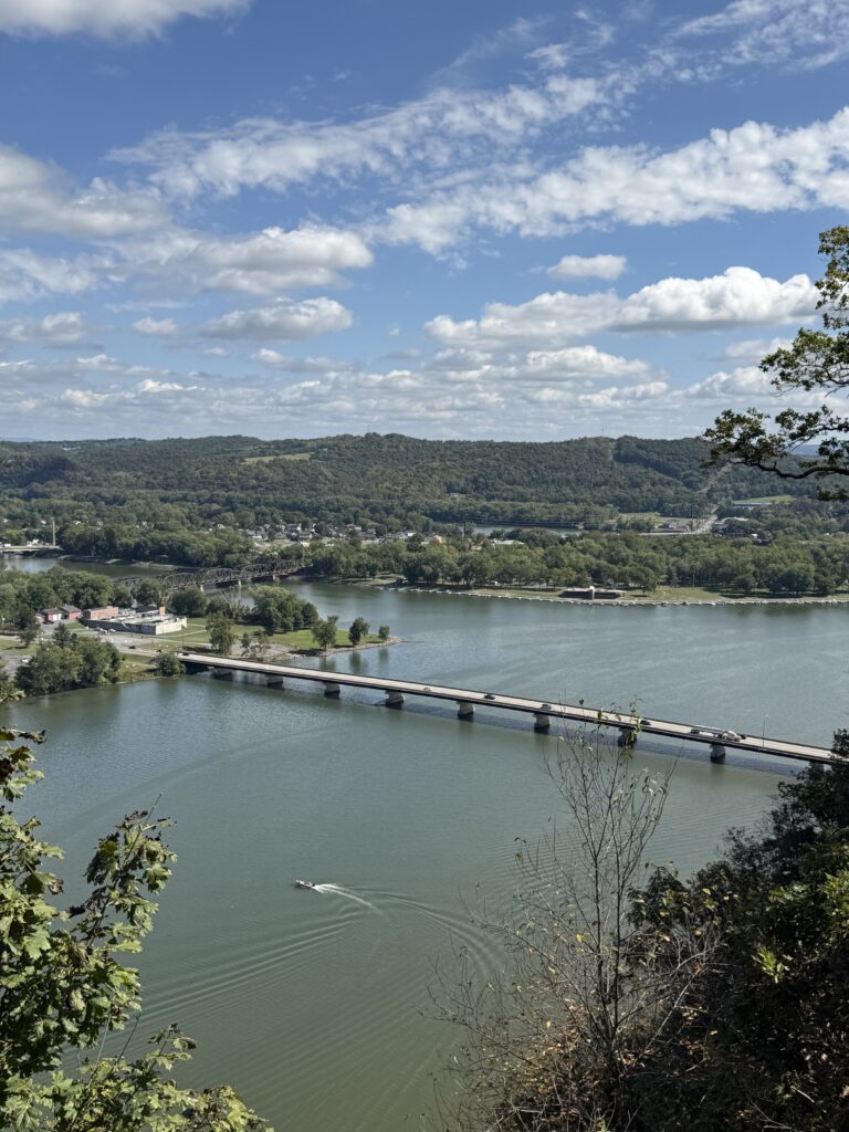 IMG 2658