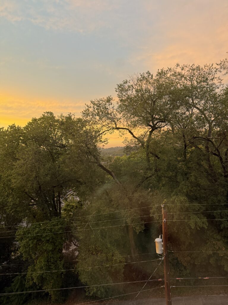 Trees
