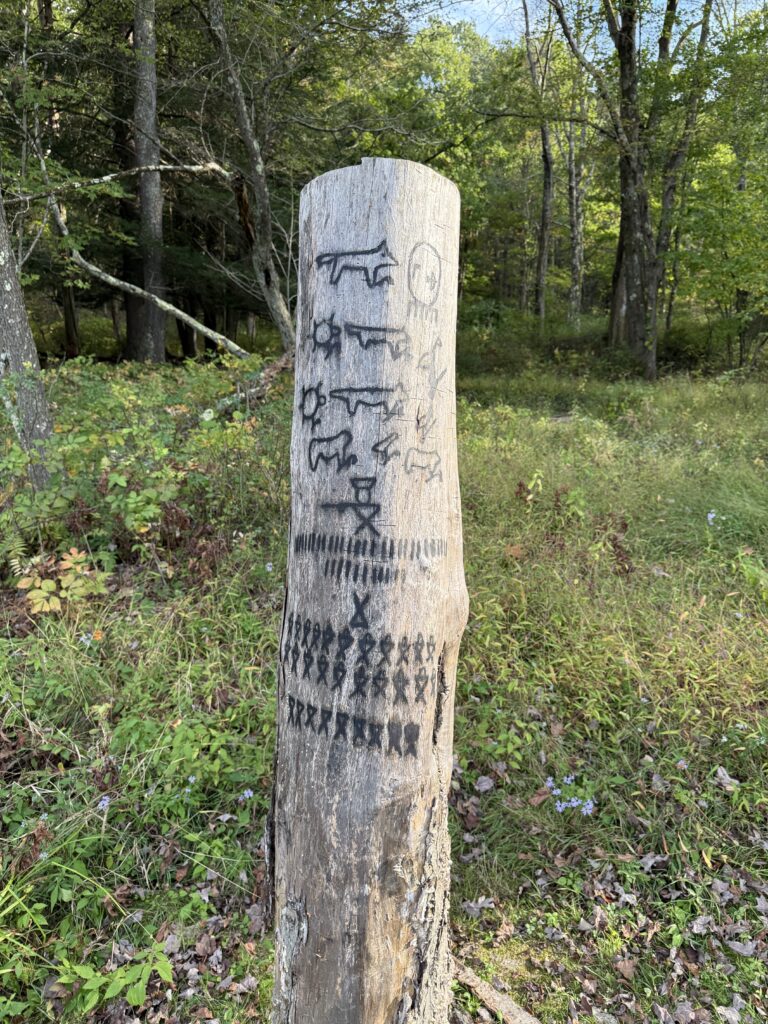 Fort Necessity Laurel Highlands