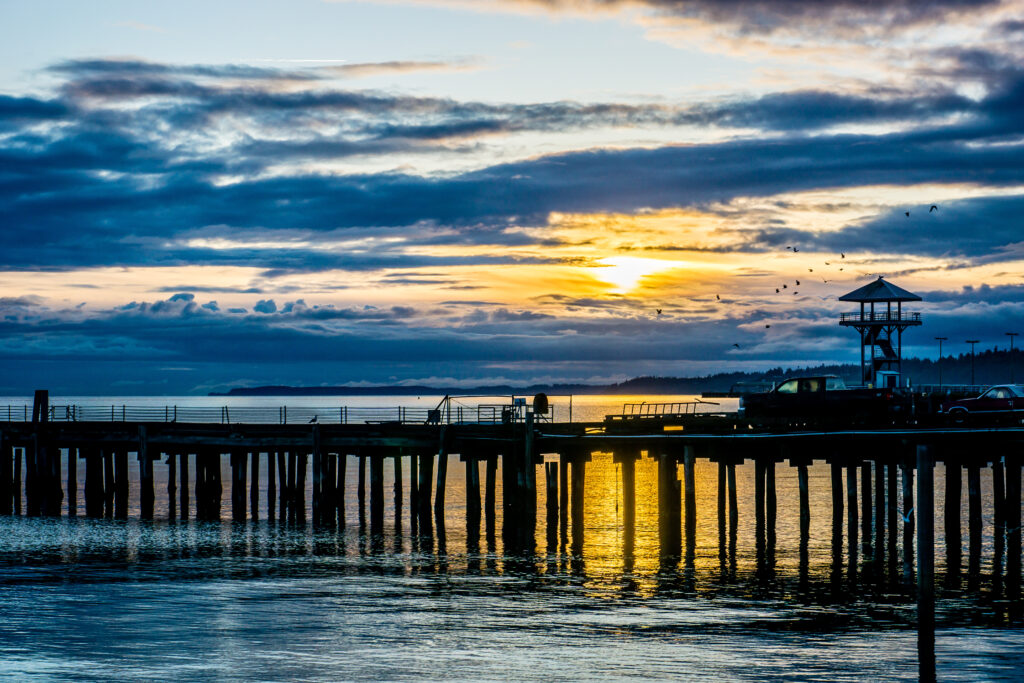 Dungeness Crab, Dungeness Crab with Zesty Ginger-Garlic Butter: A Pacific Northwest Delicacy