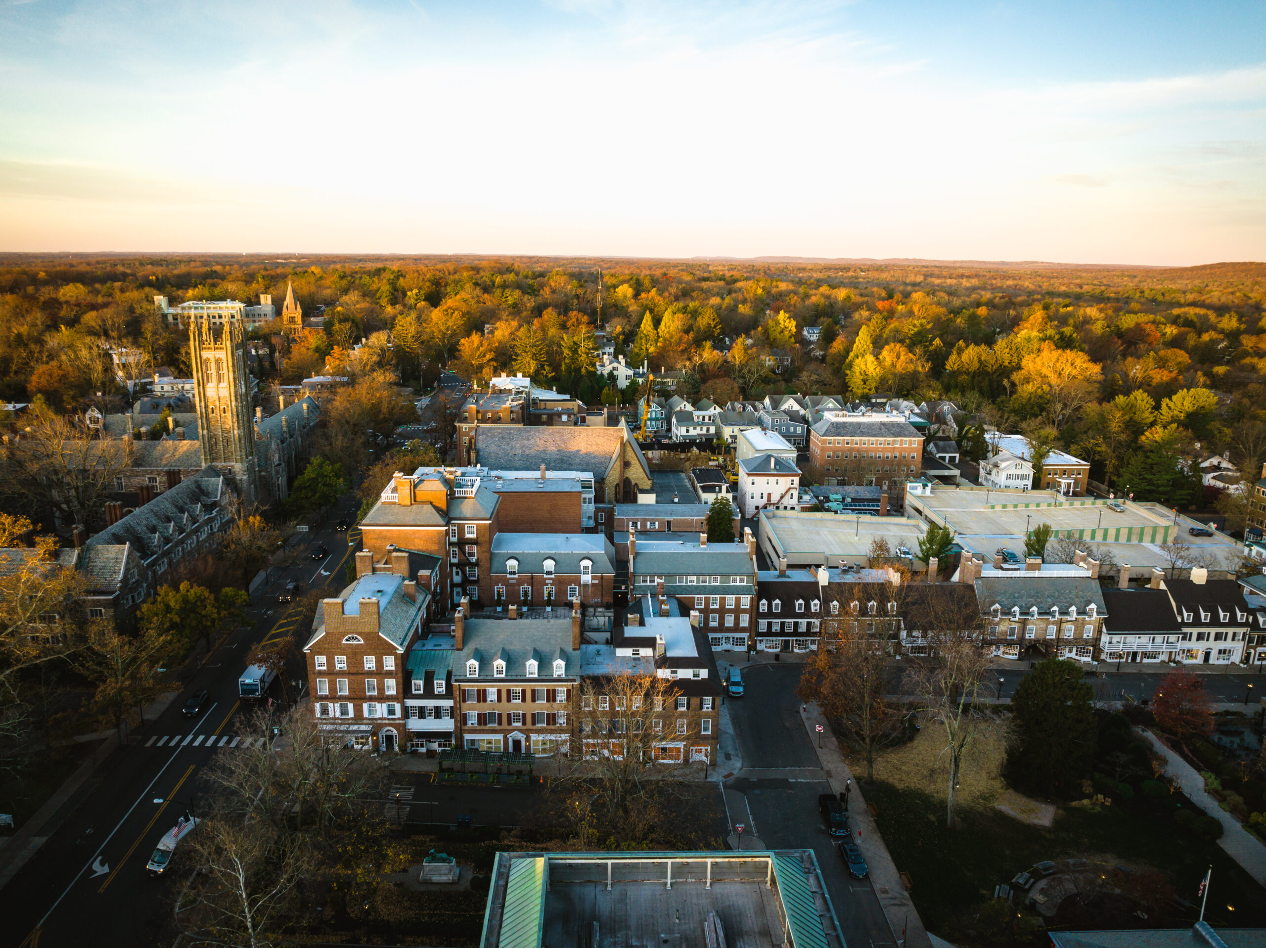 Grounds for Sculpture, Grounds For Sculpture: Where Art, Nature, and Curiosity Collide