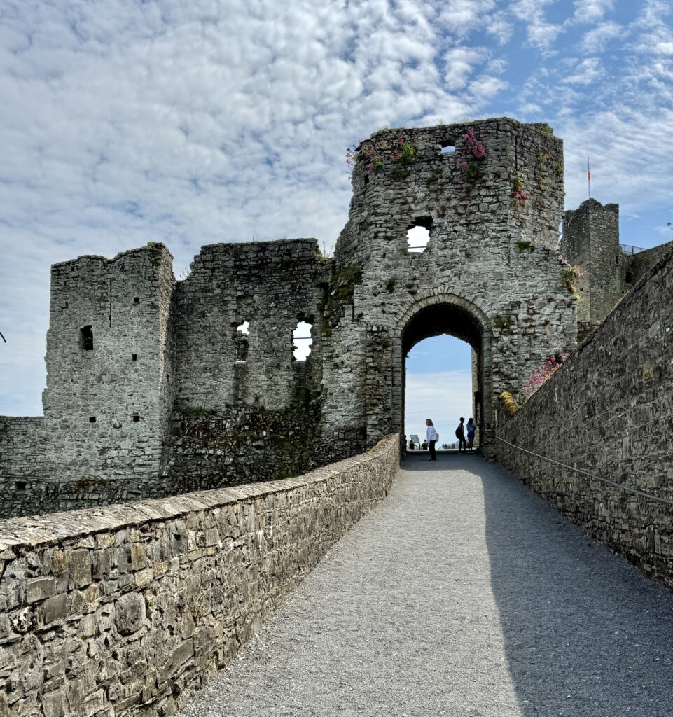 Trim Castle