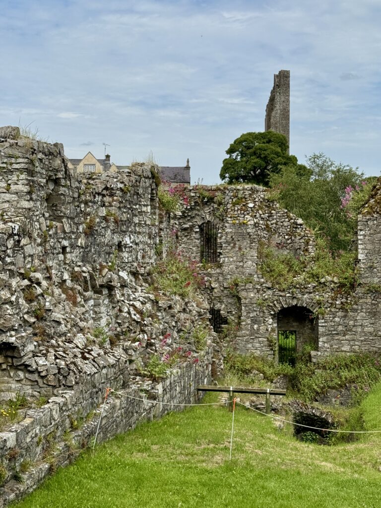 Trim Castle