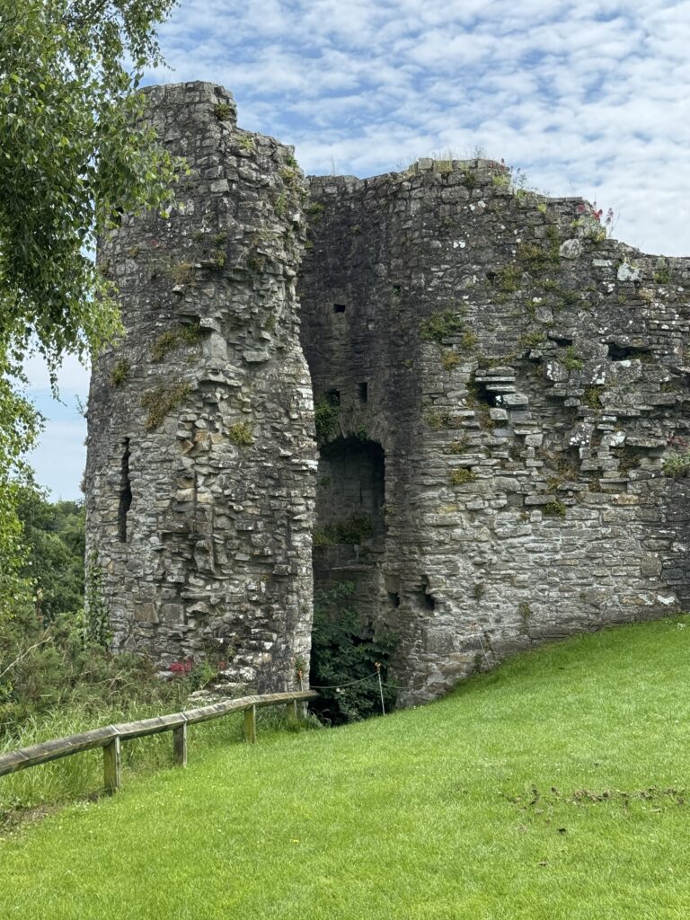 Trim Castle