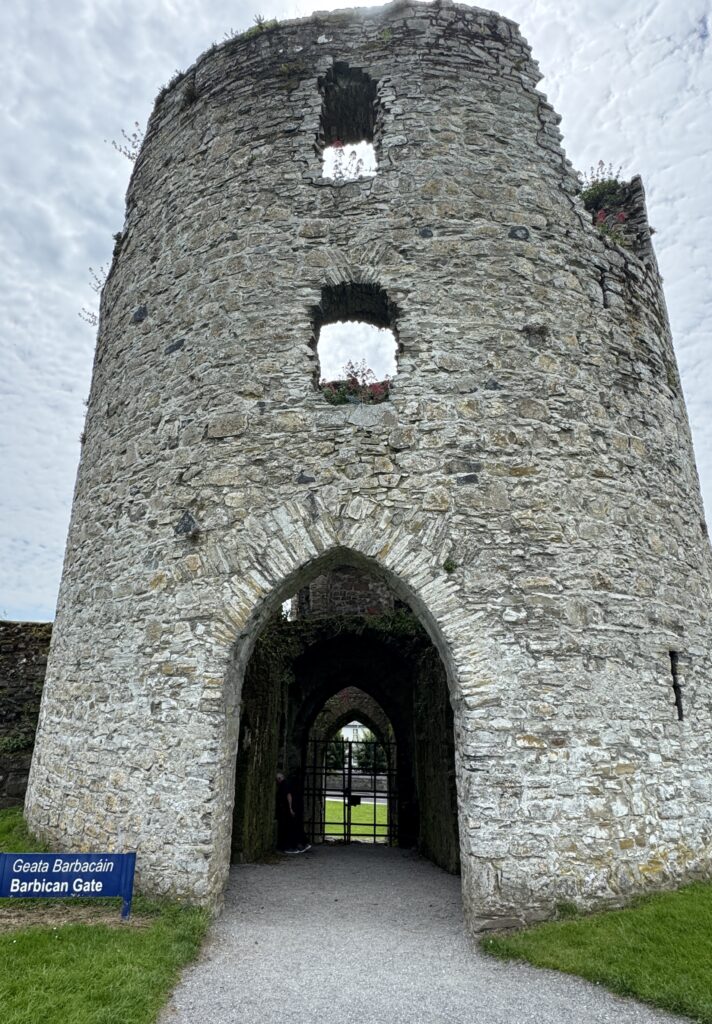 Trim Castle