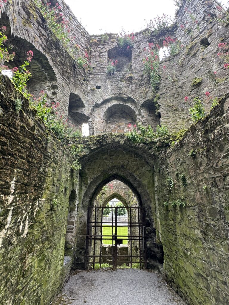 Trim Castle