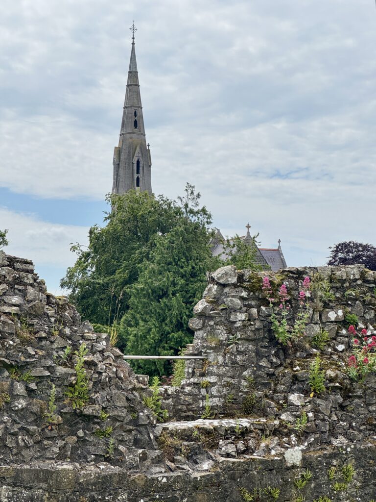 Trim Castle