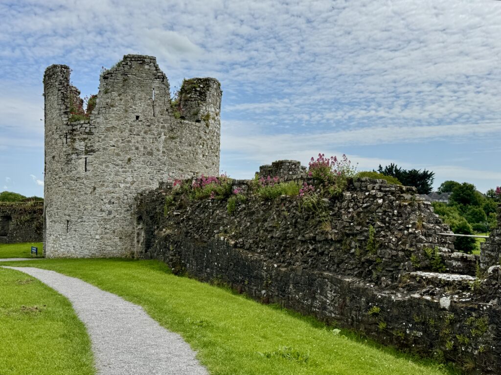 Trim Castle