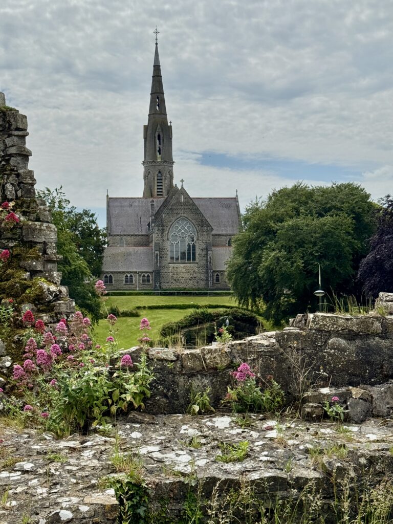 Trim Castle Grounds