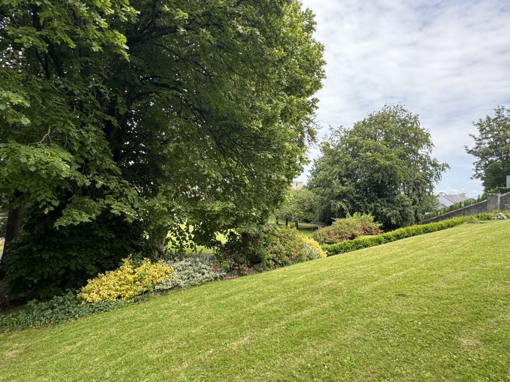 IMG 0226